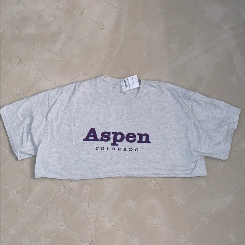 Brandy Melville Aspen Colorado crop